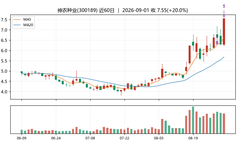神农种业K线