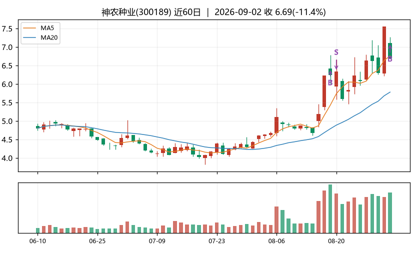 神农种业K线